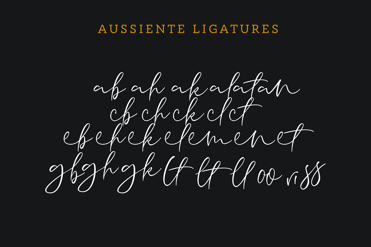 Aussiente Signature - Script preview 7