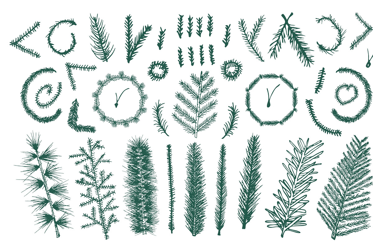Hand Drawn Spruce Branches & Pattern, a Background Graphic by IRSYART (Photo 5 of 9)
