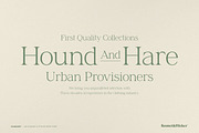 Charlene - An Elegant & Stylish Font, a Serif Font by Komet & Flicker (Thumbnail 14 of 16)