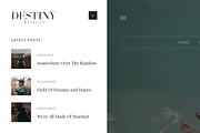 Blogger Template Responsive -Destiny, a Templates & Theme by ThemeShine (Thumbnail 6 of 6)