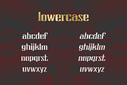 CRIGO display font, a Slab Serif Font by Guten Tag Vector (Thumbnail 3 of 5)