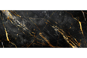 Black marble with golden veins, a Background Photo by piter.goskov