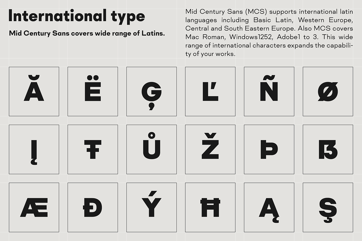 Mid Century Sans, a Sans Serif Font by Dharma Type (Photo 5 of 12)