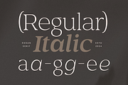 Rosan Serif - Cinematic Serif Font, a Serif Font by Hamz Studio (Thumbnail 6 of 16)