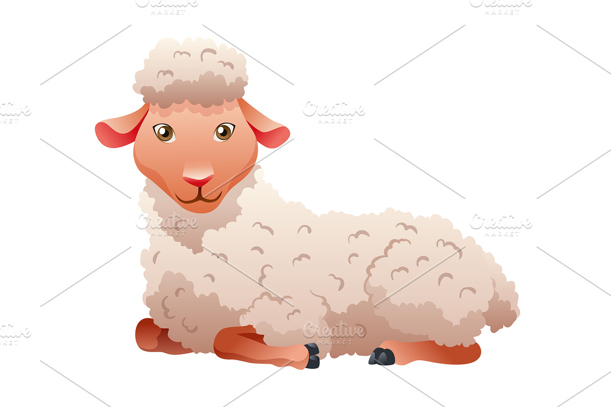 Small cartoon sheep. Lamb flat, an Animal Illustration by the8monkey