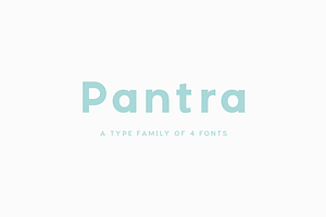 Pantra Type Family