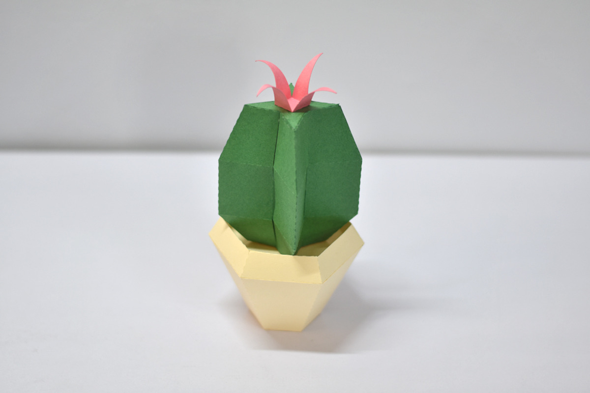 DIY Cactus Plant - 3d papercraft, a Templates & Theme by PAPER amaze