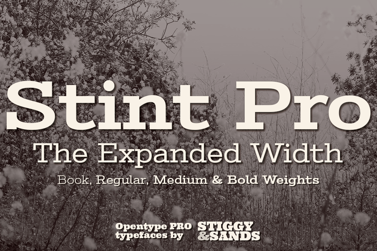 Stint Expanded Pro Family