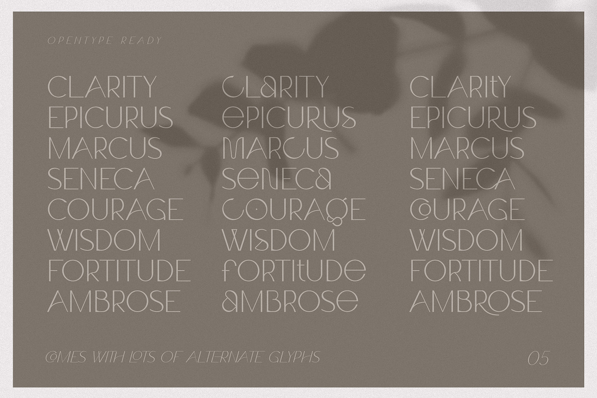 Claro - Elegant Font Family, a Sans Serif Font by AndrewPixelType (Photo 5 of 14)