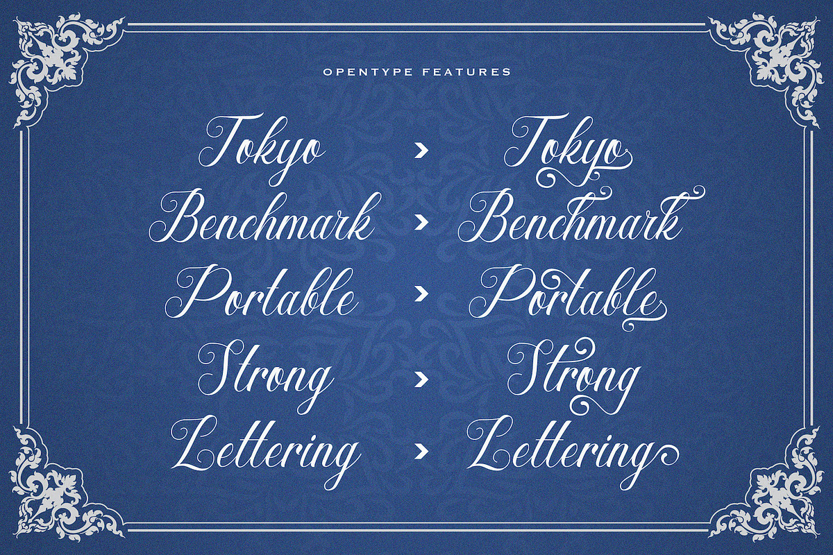 Hesty Aqaky - Modern Script Font, a Script Font by StringLabs (Photo 8 of 12)