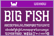 Seashore font, a Serif Font by weknow (Thumbnail 3 of 5)