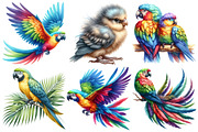 Colorful Parrot Clipart, an Illustration by Pixels.Craft (Thumbnail 2 of 7)