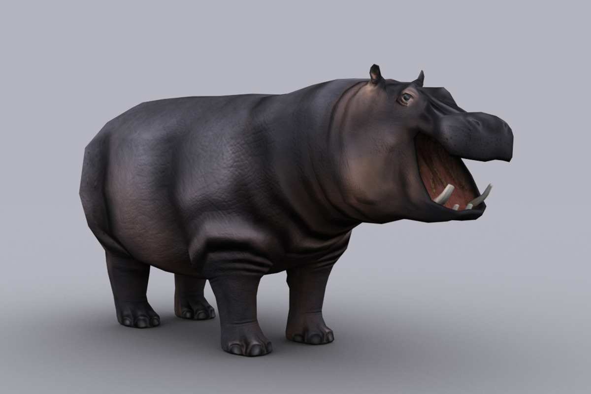 HIPPOPOTAMUS fbx only, an Animal 3D Model by PROTOFACTOR
