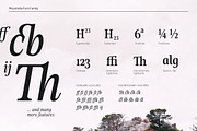 Mountella - 18 Serif Font Family, a Serif Font by Kereatype (Thumbnail 3 of 15)