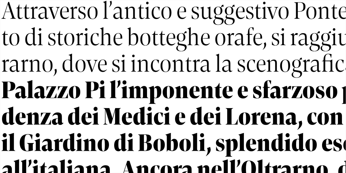 Contane Condensed, a Serif Font by Hoftype (Photo 4 of 14)