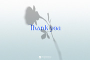 Floral Shadows Overlays, a Graphic by Youandigraphics (Thumbnail 14 of 14)