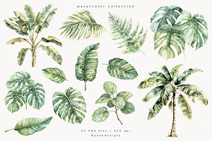 Watercolor Tropical Plants