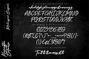Kensington Setalise Stylish Script, a Script Font by Ronny Studio (Thumbnail 9 of 10)