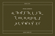 Elegant Serif - Rastica, a Serif Font by Font Liner (Thumbnail 8 of 12)