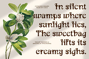 CS Bloom Drawn, a Serif Font by Craft Supply Co. (Thumbnail 5 of 8)