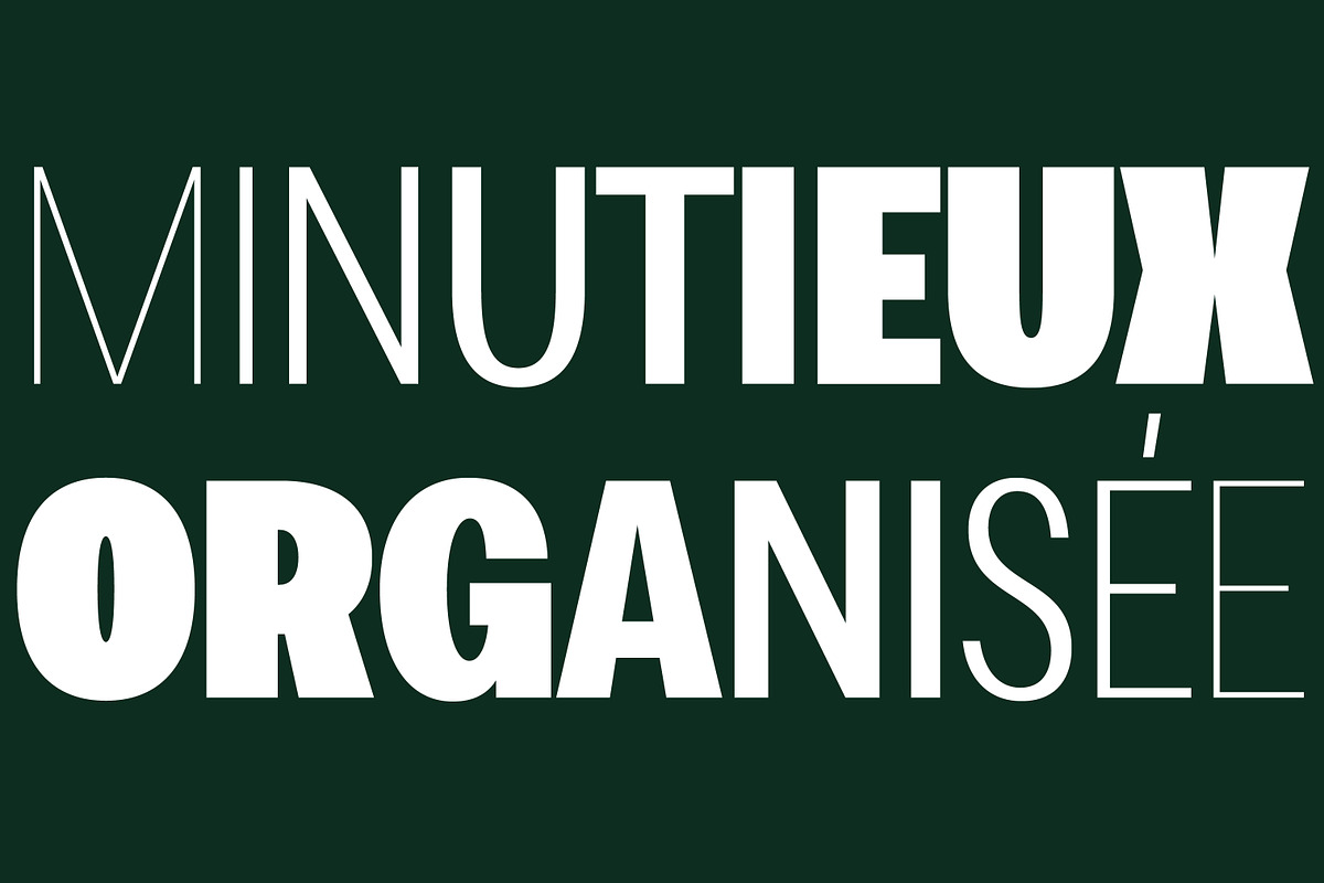 Loyauté, a Sans Serif Font by OceaneM (Photo 4 of 7)