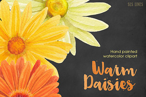 Warm Color Daisy Florals