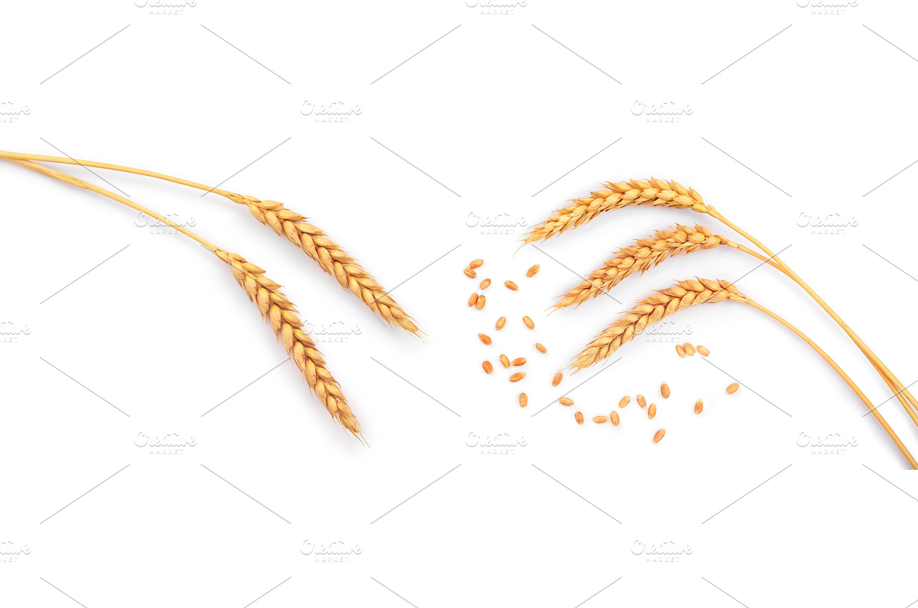 grain and ears of wheat isolated on, a Food & Drink Photo by NataPhoto