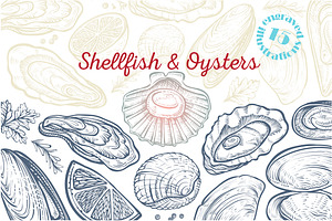 Vector Sketch Of Shellfish & Oysters