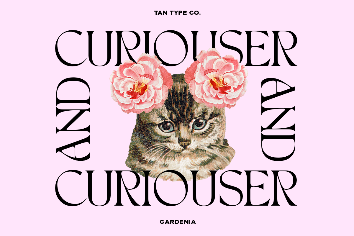 Tan Gardenia Font Free Downloadv - UIFreebies