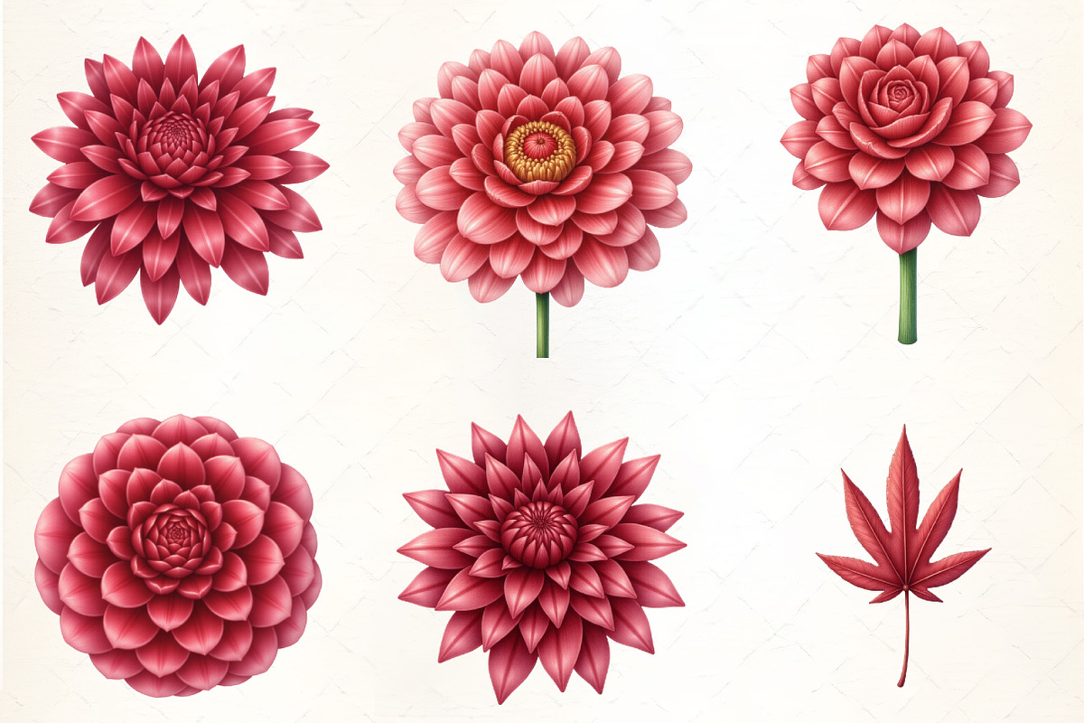 Burgundy Autumn Leaves & Flowers, an Illustration by CrexoraLab (Photo 4 of 5)