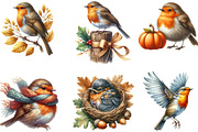 Autumn Robin Bird Clipart, an Illustration by Designking (Thumbnail 2 of 4)
