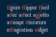 Marinaio Family + Ornaments, a Serif Font by Hederae Type Foundry (Thumbnail 8 of 11)