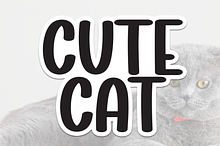 Cute Cat | Script Font