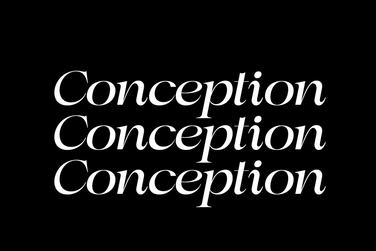 Astani Display, a Serif Font by InkwellTypeCo (Photo 11 of 17)