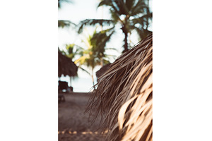 Tropical carribbean beach, a Nature Photo by Nature and travel