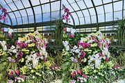 30 Flowers LUT Collection, a Preset Add-On by 3Motional (Thumbnail 10 of 10)