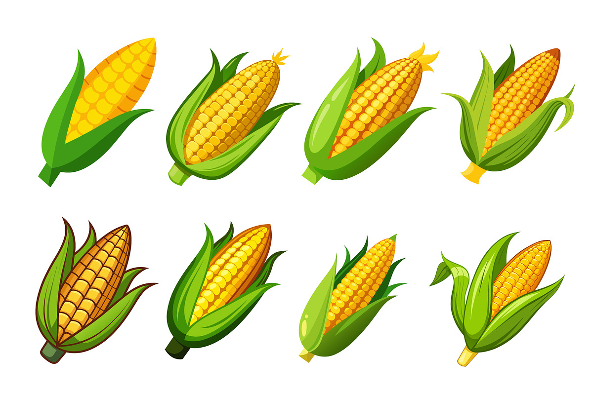 Corn vector illustration set, an Object Graphic by Billah Hub