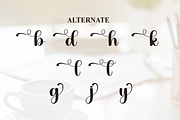 Goodday | Script Font, a Handwritten Font by Scratchones (Thumbnail 8 of 9)