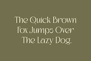 Kaviera Modern Stylish Serif Font, a Serif Font by Heinzel Std (Thumbnail 13 of 17)