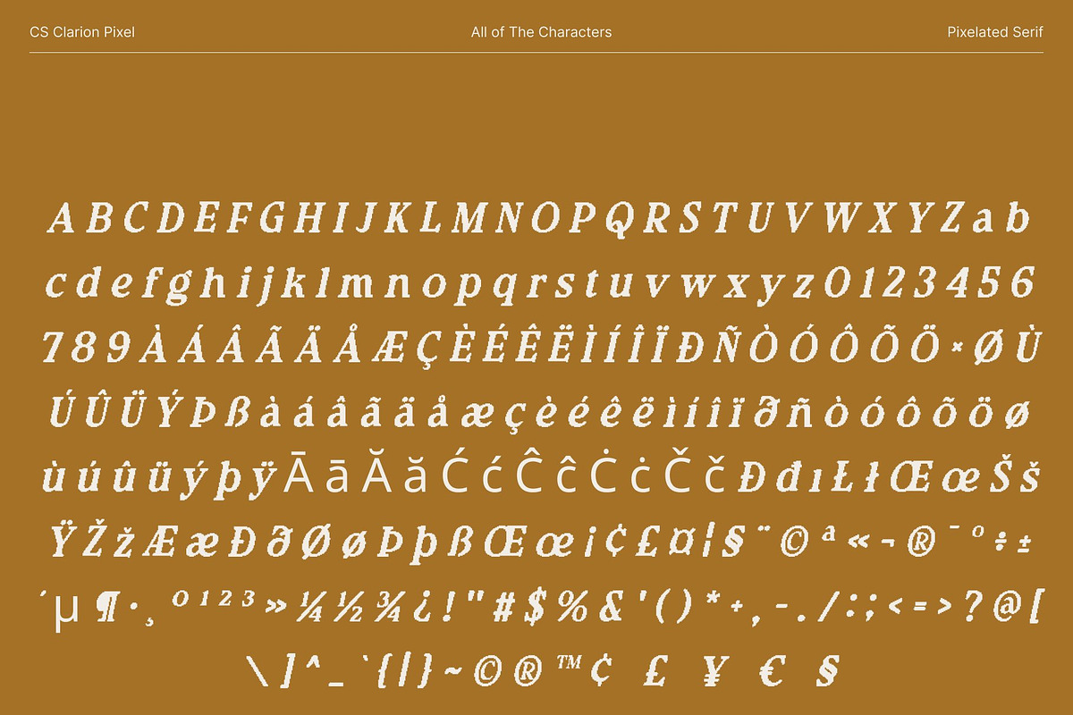 CS Clarion Pixel, a Serif Font by Craft Supply Co. (Photo 8 of 8)
