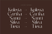 Roilra - Serif Ligature Font, a Serif Font by suhadidesign (Thumbnail 6 of 13)