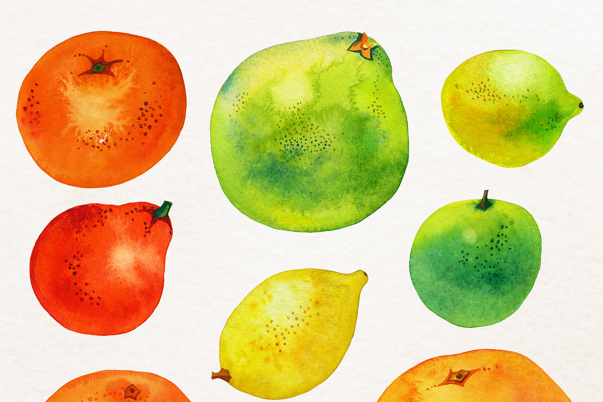 Watercolor Citrus Clipart Collection, a Food Illustration by Olga Begak Art & Design (Photo 3 of 10)