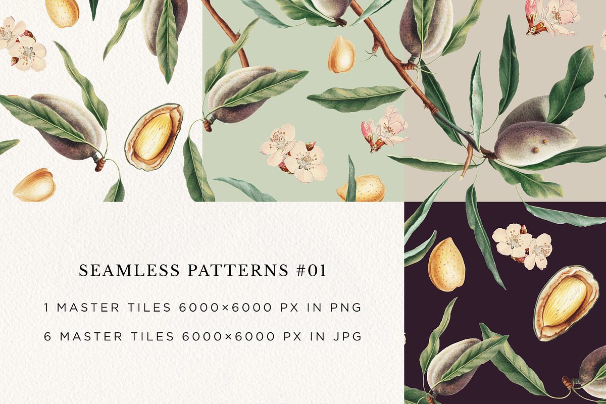 Vintage Almond Patterns & Elements, a Pattern Graphic by Olga Begak Art & Design (Photo 3 of 8)