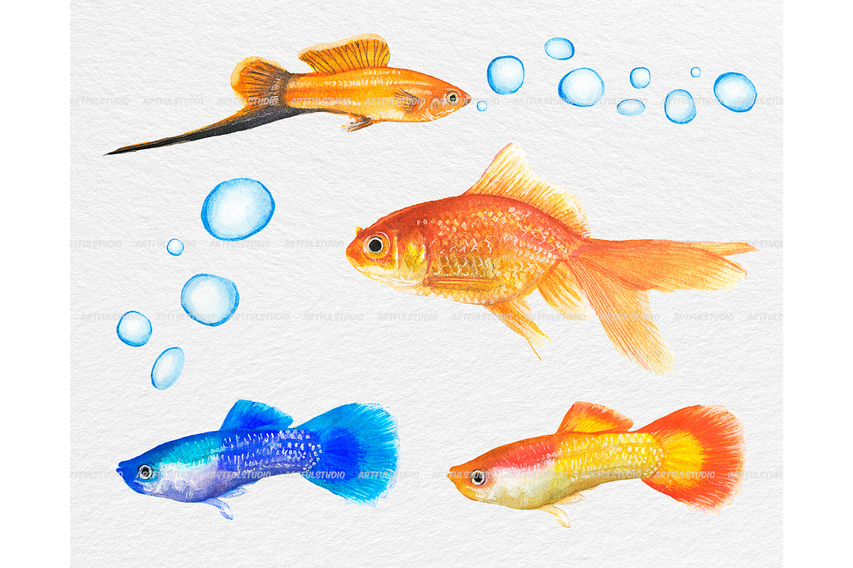 Watercolor tropical fish clipart, an Animal Illustration by ArtfulStudio (Photo 6 of 8)