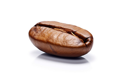 One roasted coffee bean isolated on white background, a Food & Drink Photo by AlyaAnd
