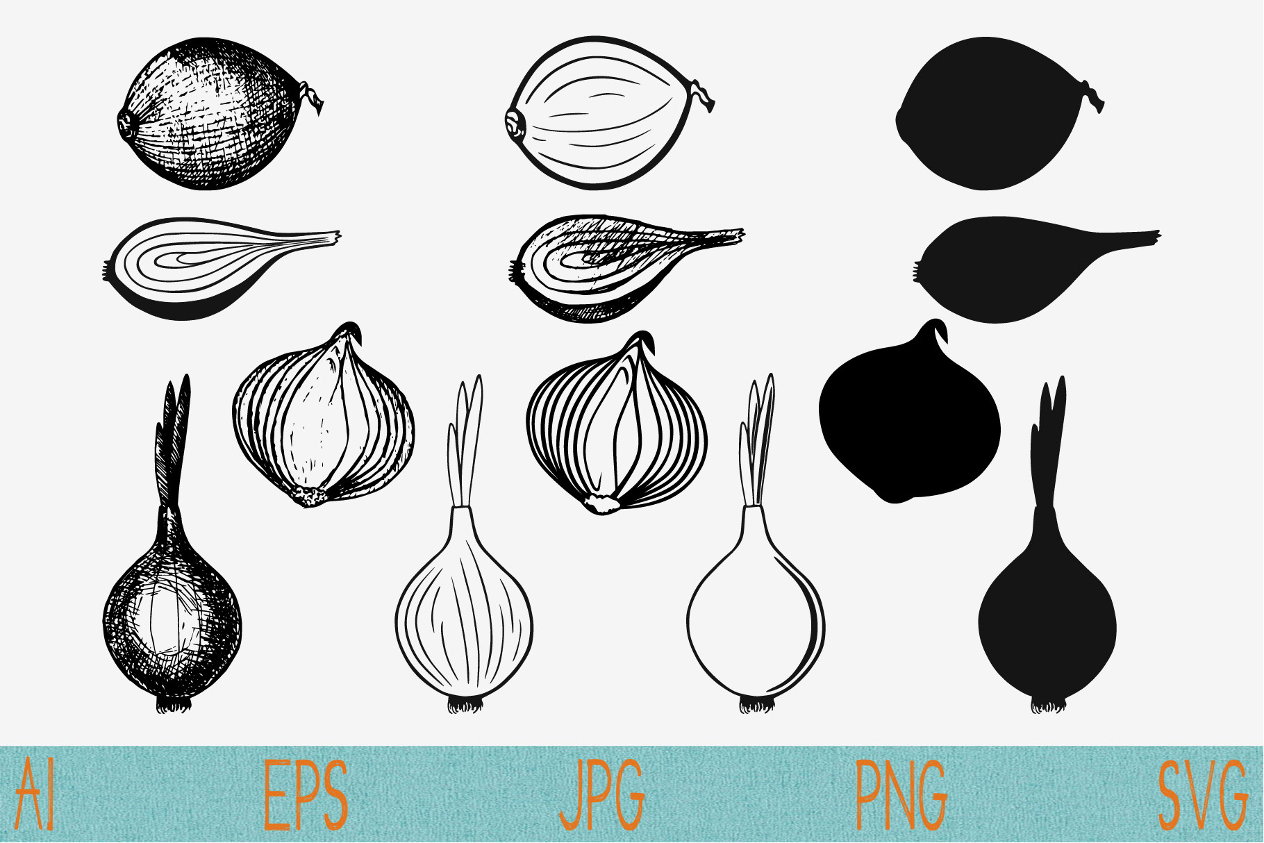bulb onion set vector svg png, an Object Graphic by FileVectorSVG