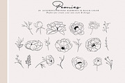 Peonies Hand Draw, an Illustration by Luiz da Rolt Grathwohl (Thumbnail 2 of 8)