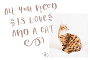 M O O N, a Sans Serif Font by Blossom (Thumbnail 5 of 14)