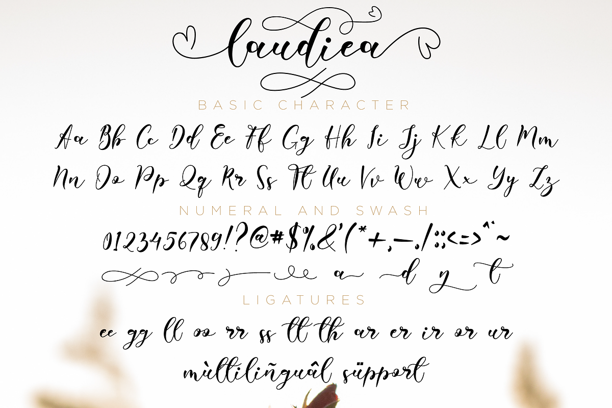 Laudiea // Lovely Script Font preview 7