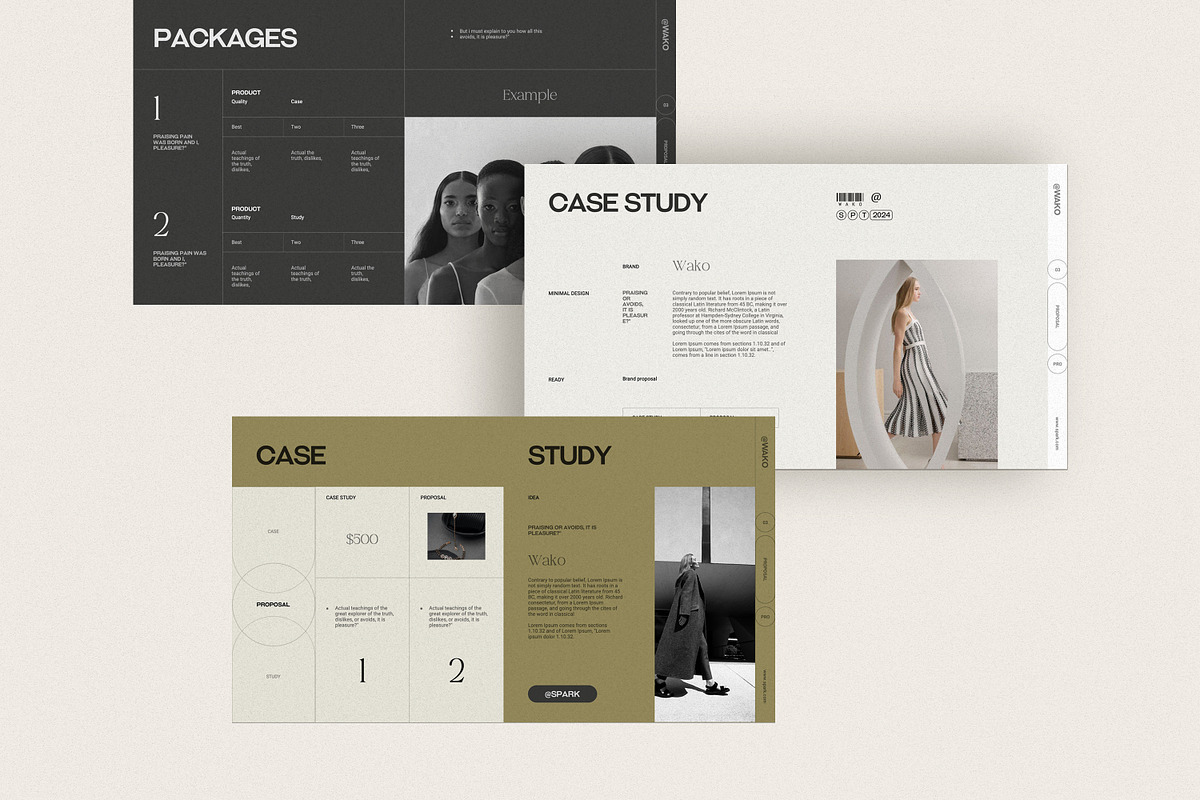 Brand Proposal Template, a Presentation Template by SparkPro (Photo 7 of 12)